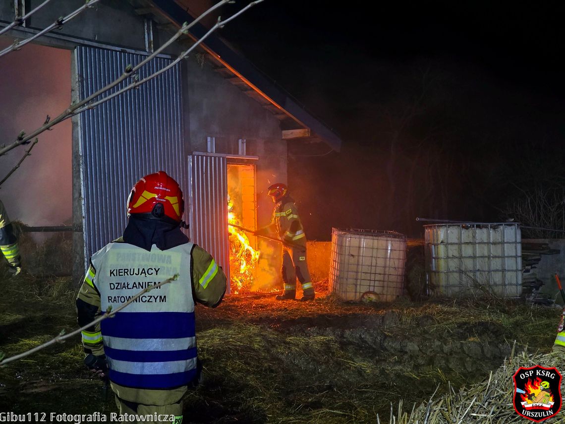 Strażacy z powiatu włodawskiego walczyli z pożarem pół doby [ZDJĘCIA+FILM]