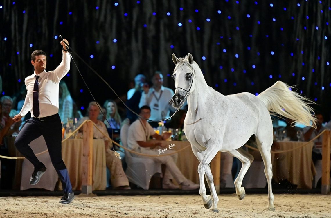 Sukces aukcji Pride of Poland [GALERIA ZDJĘĆ]