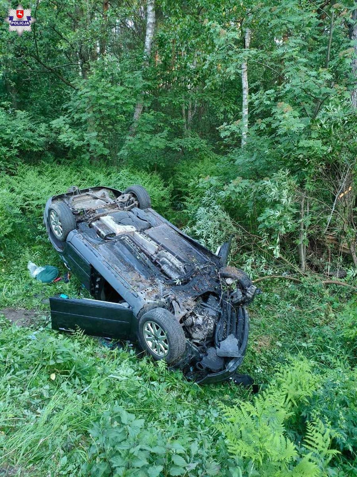 Tragiczny finał zderzenia z łosiem. Nie żyje mężczyzna