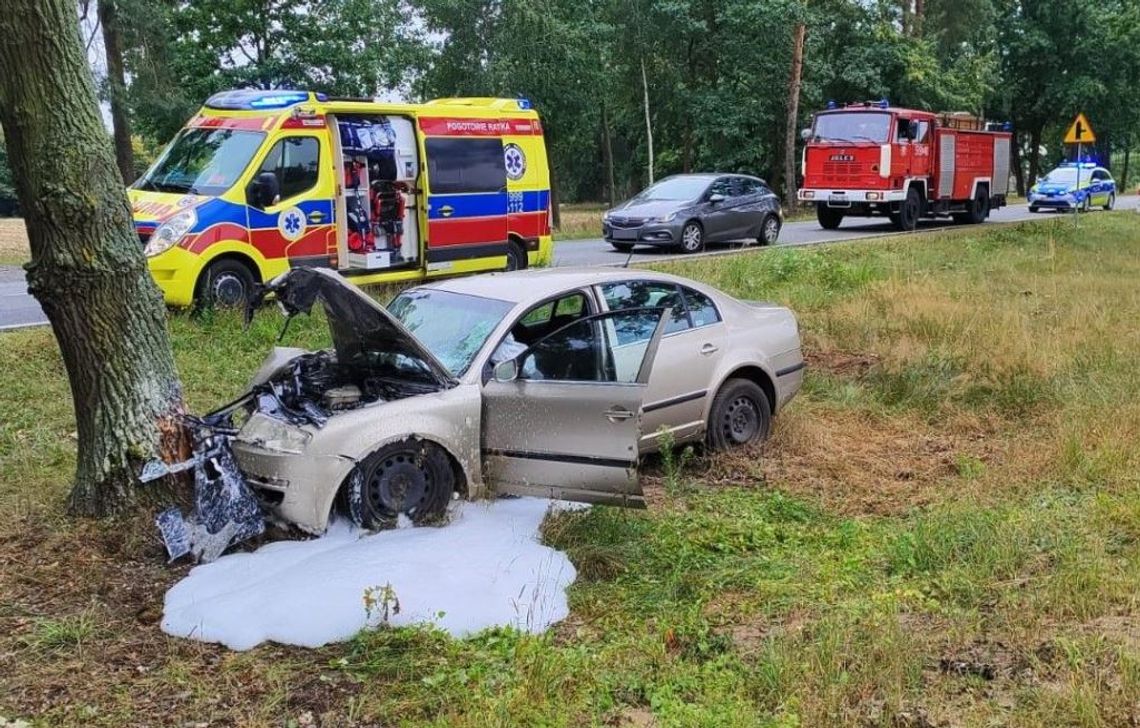 Tragiczny wypadek. Kierowca zmarł na miejscu [FILM]