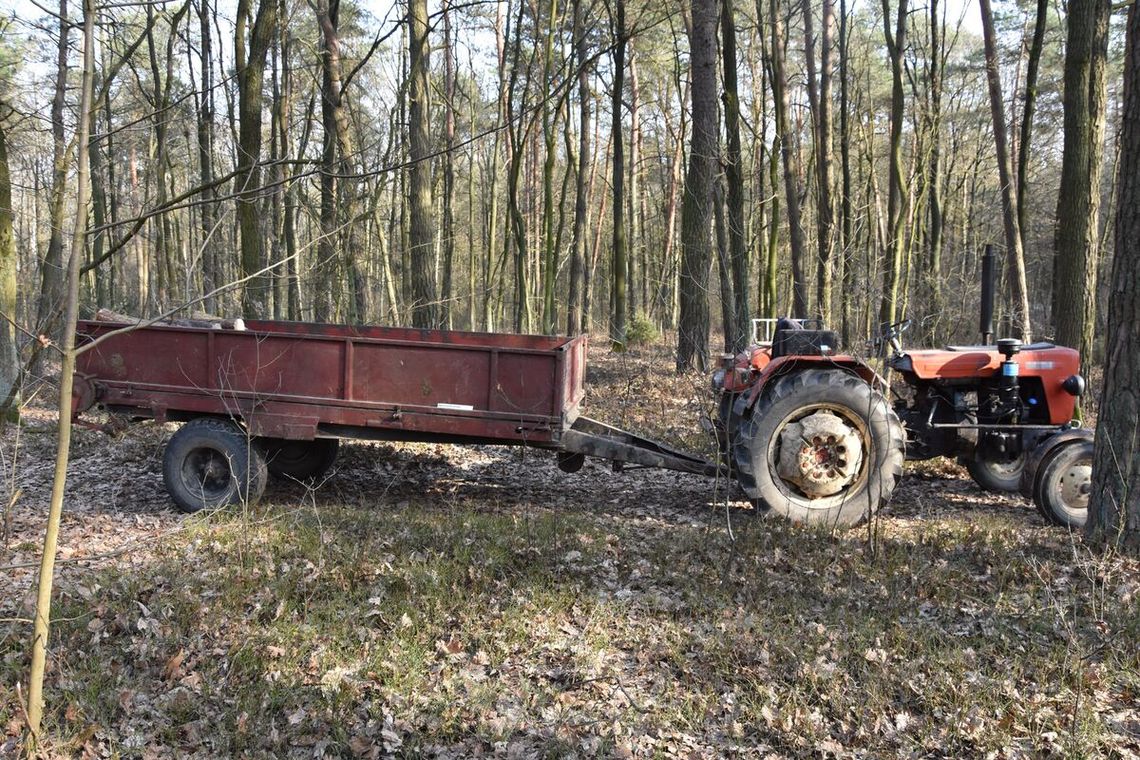 Tragiczny wypadek w lesie. 58-latek zginął podczas wycinki drzew