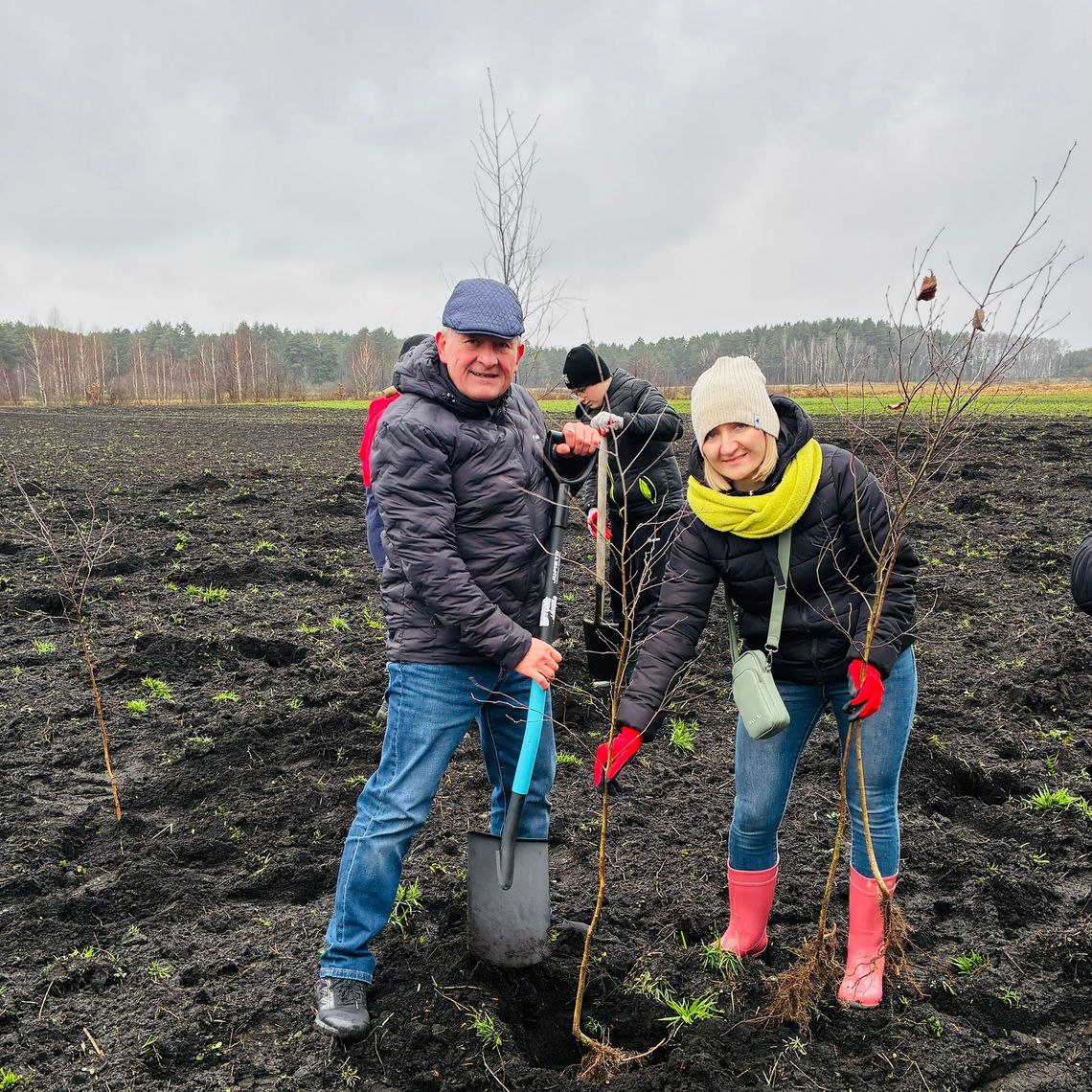 Tuczna. Posadzili 300 drzewek [ZDJĘCIA]
