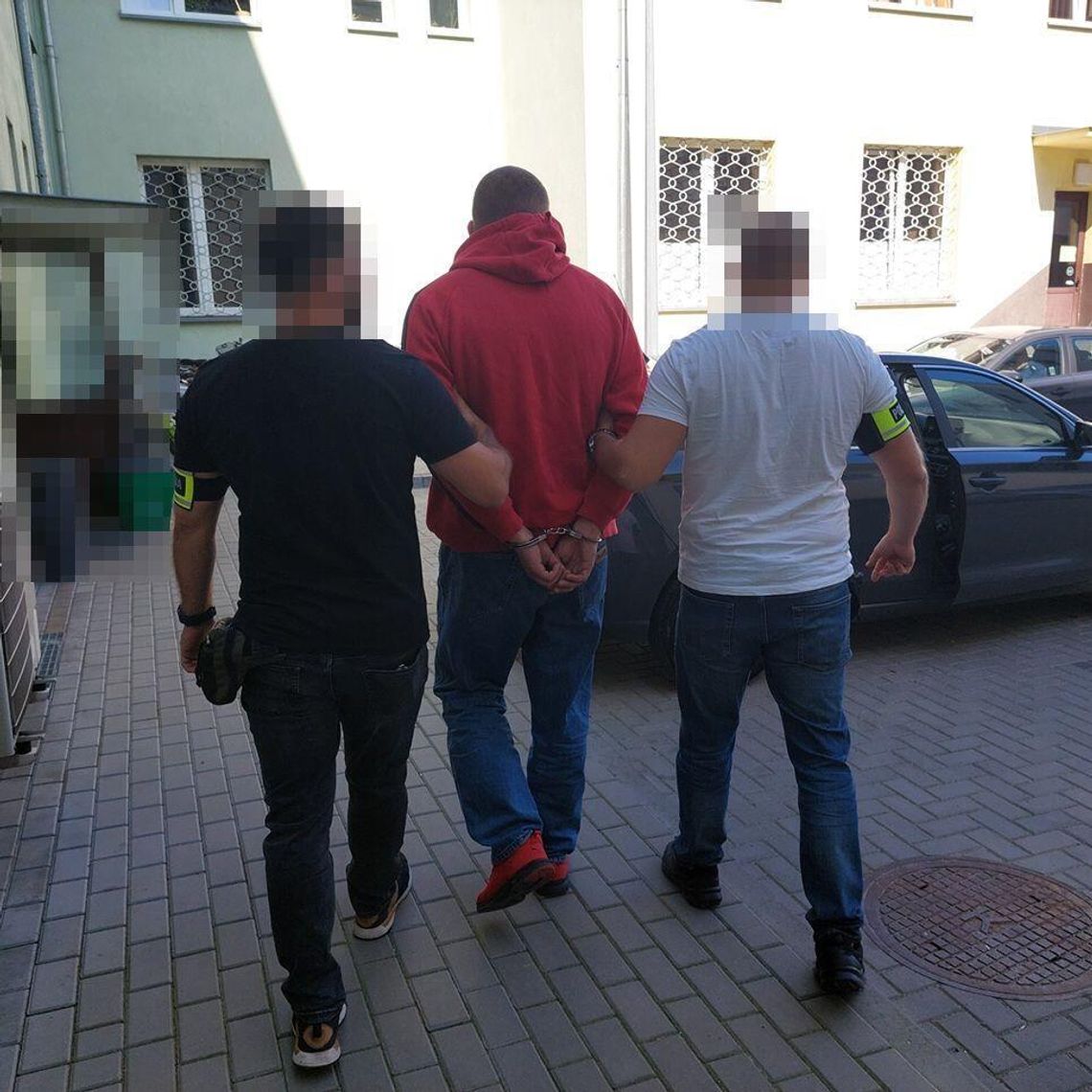 Uprawiali konopie. Wpadli "na gorącym uczynku" [ZDJĘCIA]