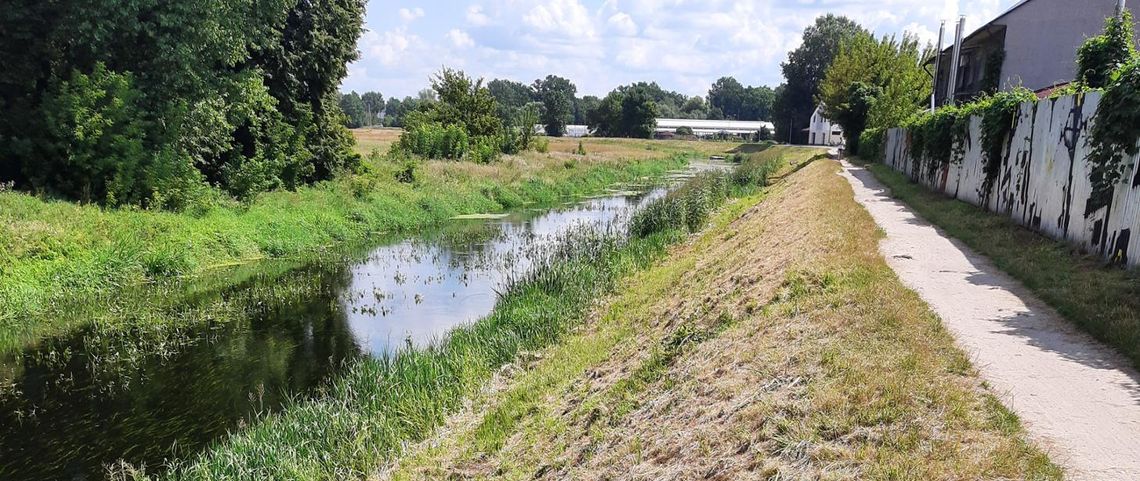 Biała Podlaska. Tymczasowy zakaz poruszania się po wale przeciwpowodziowym Krzny