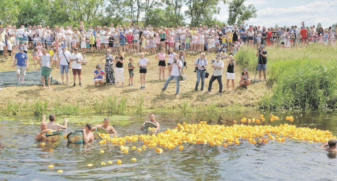 W czerwcu czeka nas wyścig kaczek. Pomożemy Stasiowi Motyczce