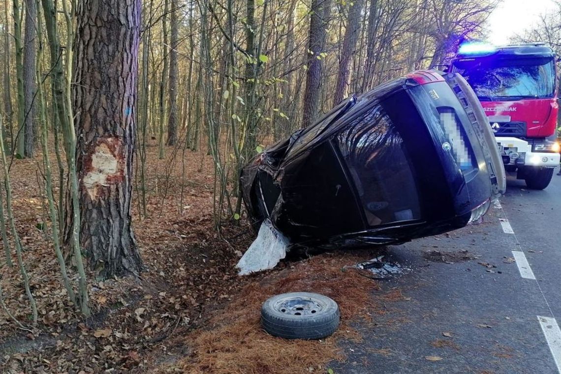 W miejscowości Biała samochód marki Skoda uderzył w drzewo