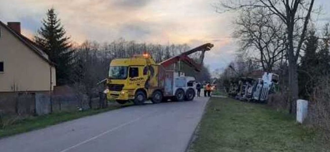 W Ortelu Książęcym przewróciła się gruszka. Wiemy, dlaczego