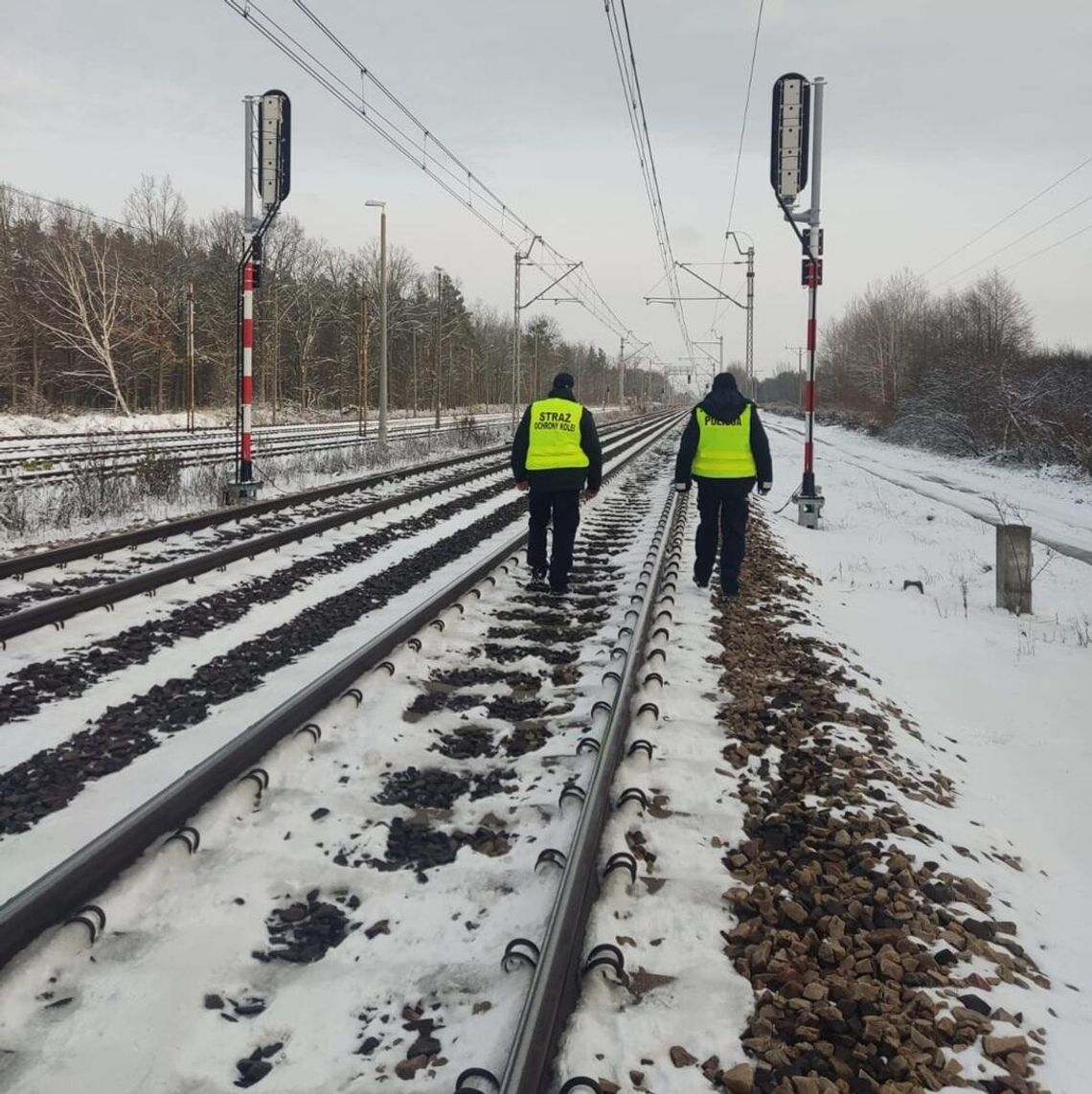 W powiecie bialskim ruszyła operacja „TOR” [ZDJĘCIA]