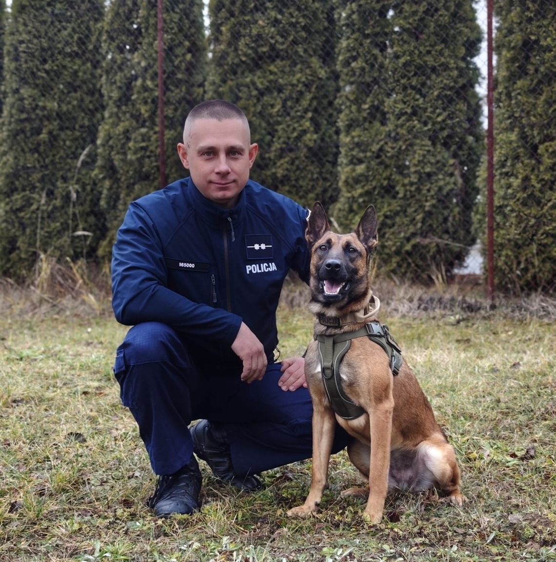 pies policyjny