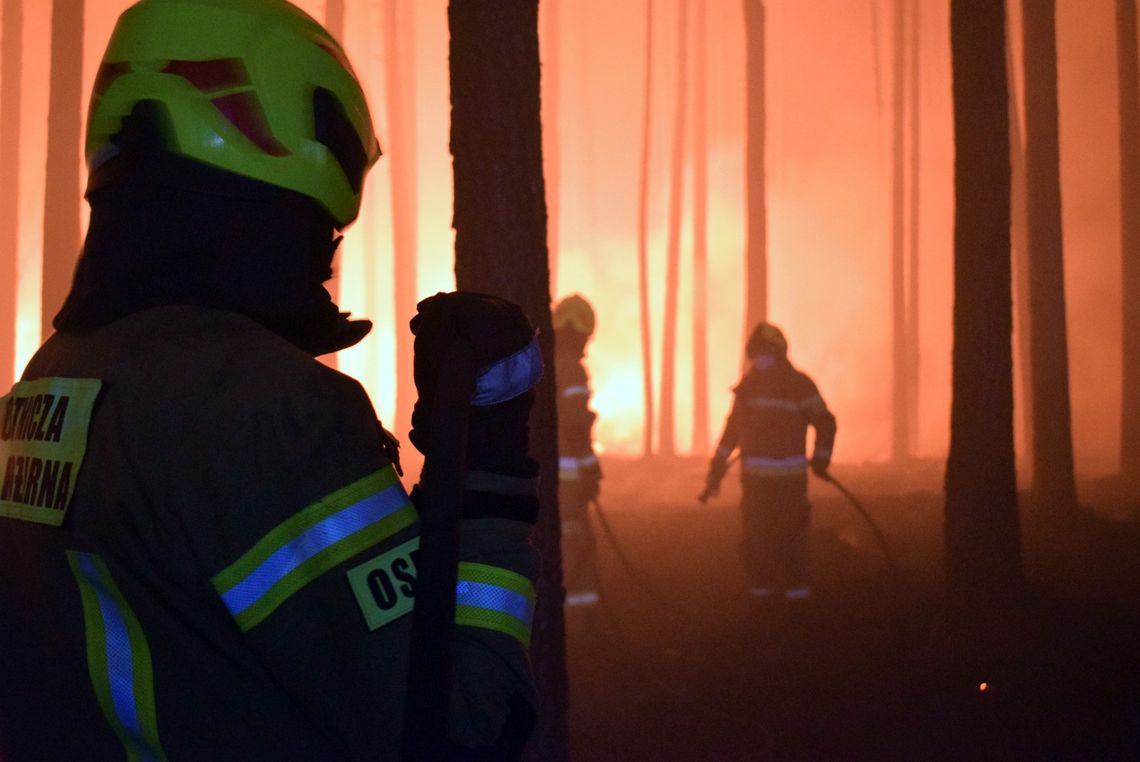 Wielki pożar lasu w powiecie biłgorajskim gaszą też nasi strażacy [ZDJĘCIA]