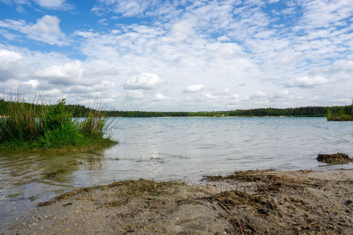 Woda w Zalewie Łosickim znów bezpieczna Woda w Zalewie Łosickim znów bezpieczna