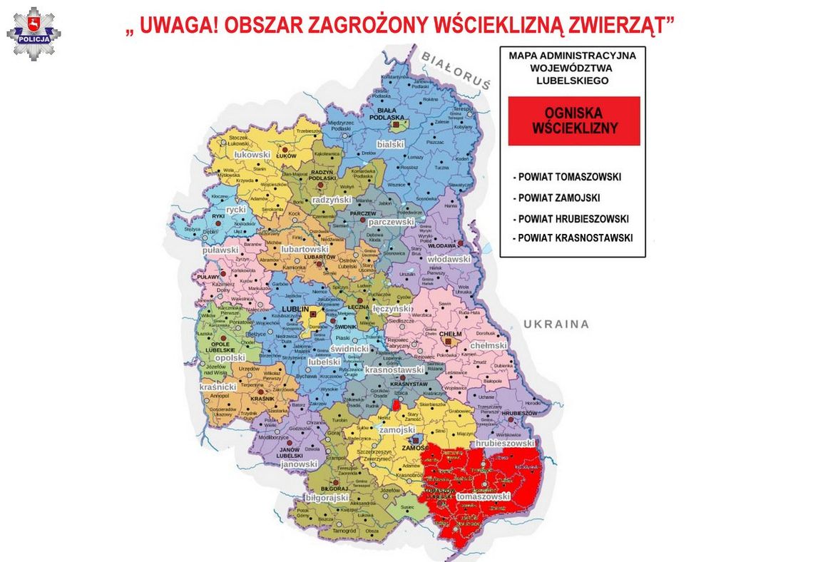 Wscieklizna atakuje Lubelszczyznę. Czy nasz obszar jest zagrożony?