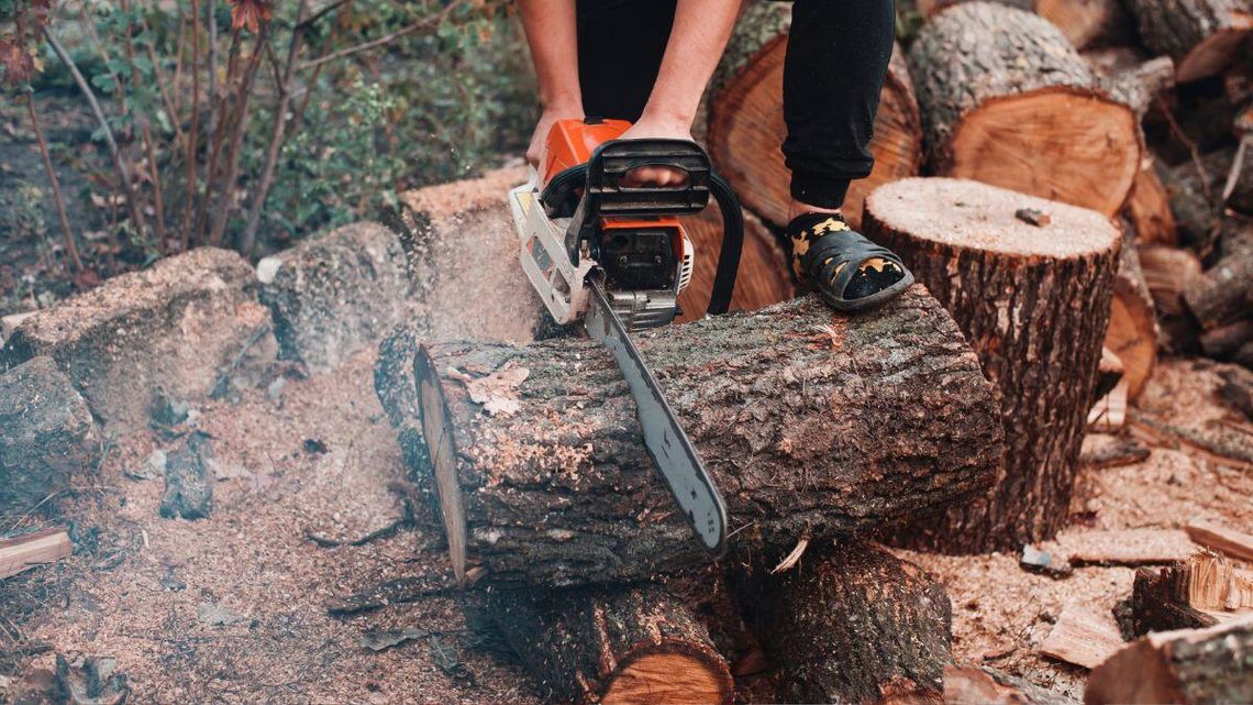 Wycinka drzewa na swojej ziemi. Nagła zmiana planów
