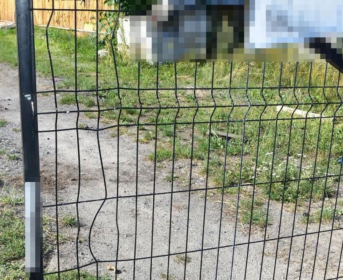 Wyżywali się na prywatnym mieniu pod nieobecność właścicieli Wyżywali się na prywatnym mieniu pod nieobecność właścicieli
