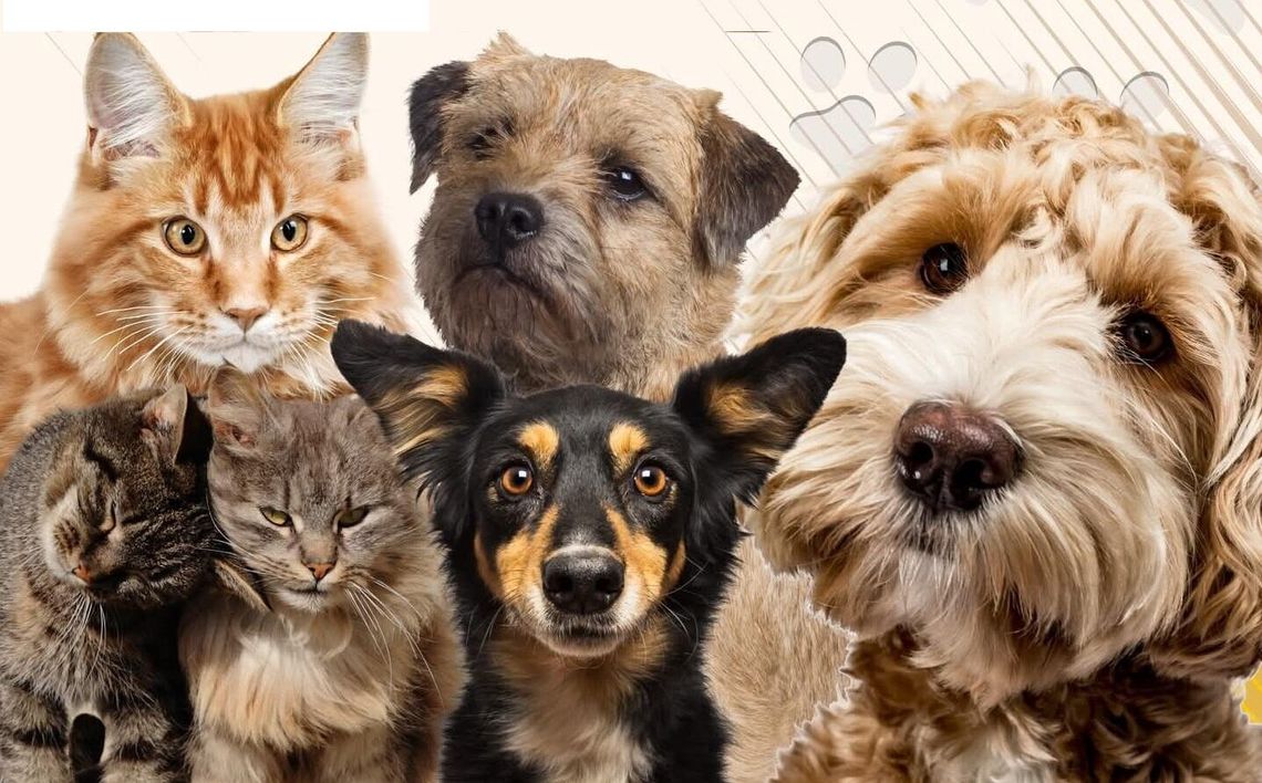 Z tego projektu bialczanie skorzystali w 100 procentach