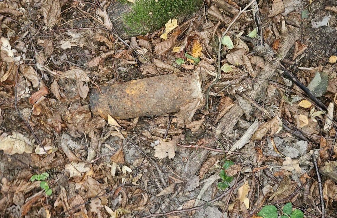 Lubelskie. Zamiast prawdziwków – pocisk z wojny