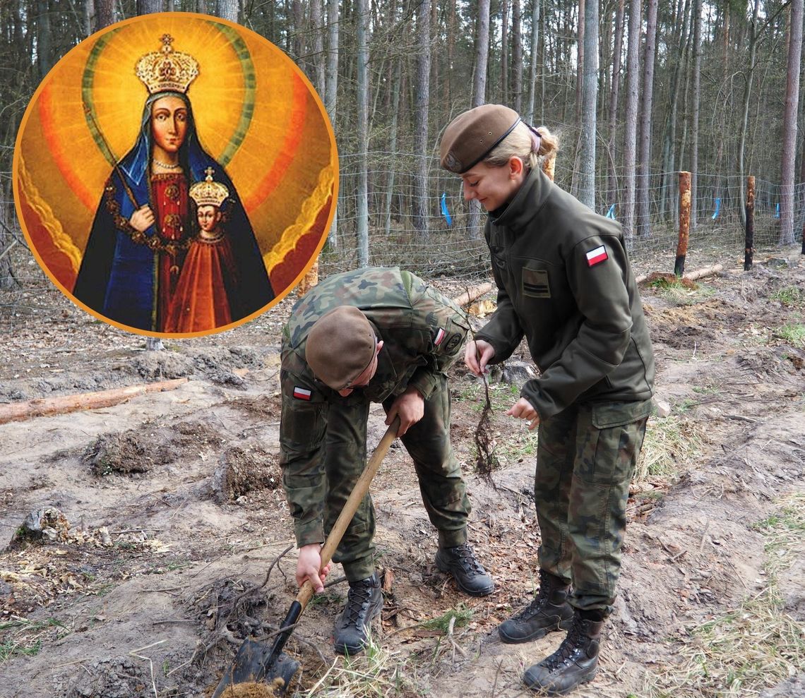 Zasadzą 300 drzew na 300-lecie koronacji obrazu Matki Bożej Kodeńskiej