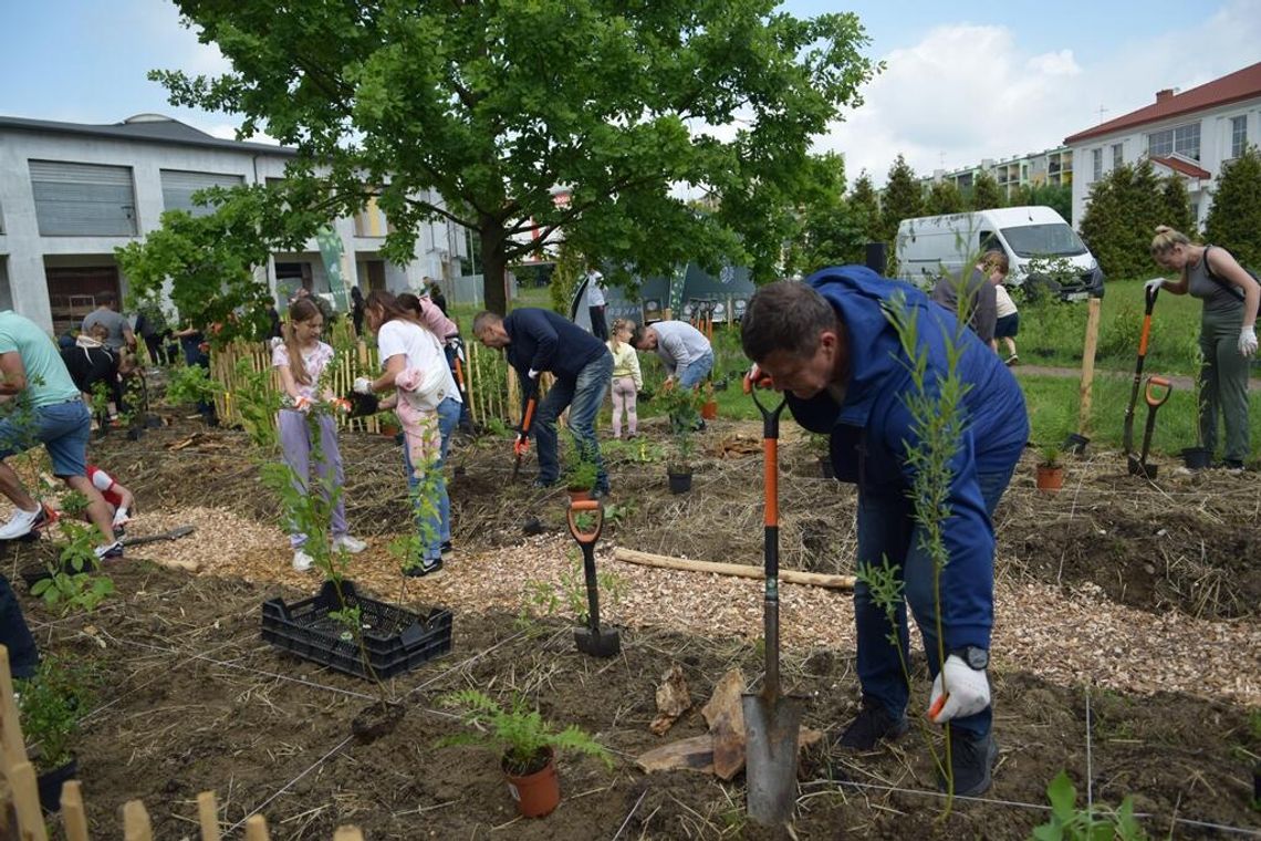 Nowy mikrolas w Międzyrzecu Podlaskim. Zieleń i dziedzictwo Rodziny Eichlerów [GALERIA ZDJĘĆ]