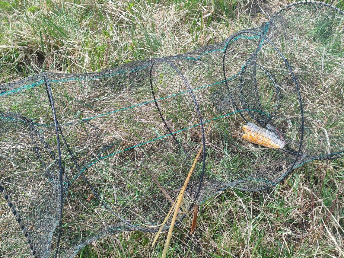 Zatrzymany na gorącym uczynku. Nielegalny połów na zbiorniku Żelizna [ZDJĘCIA]