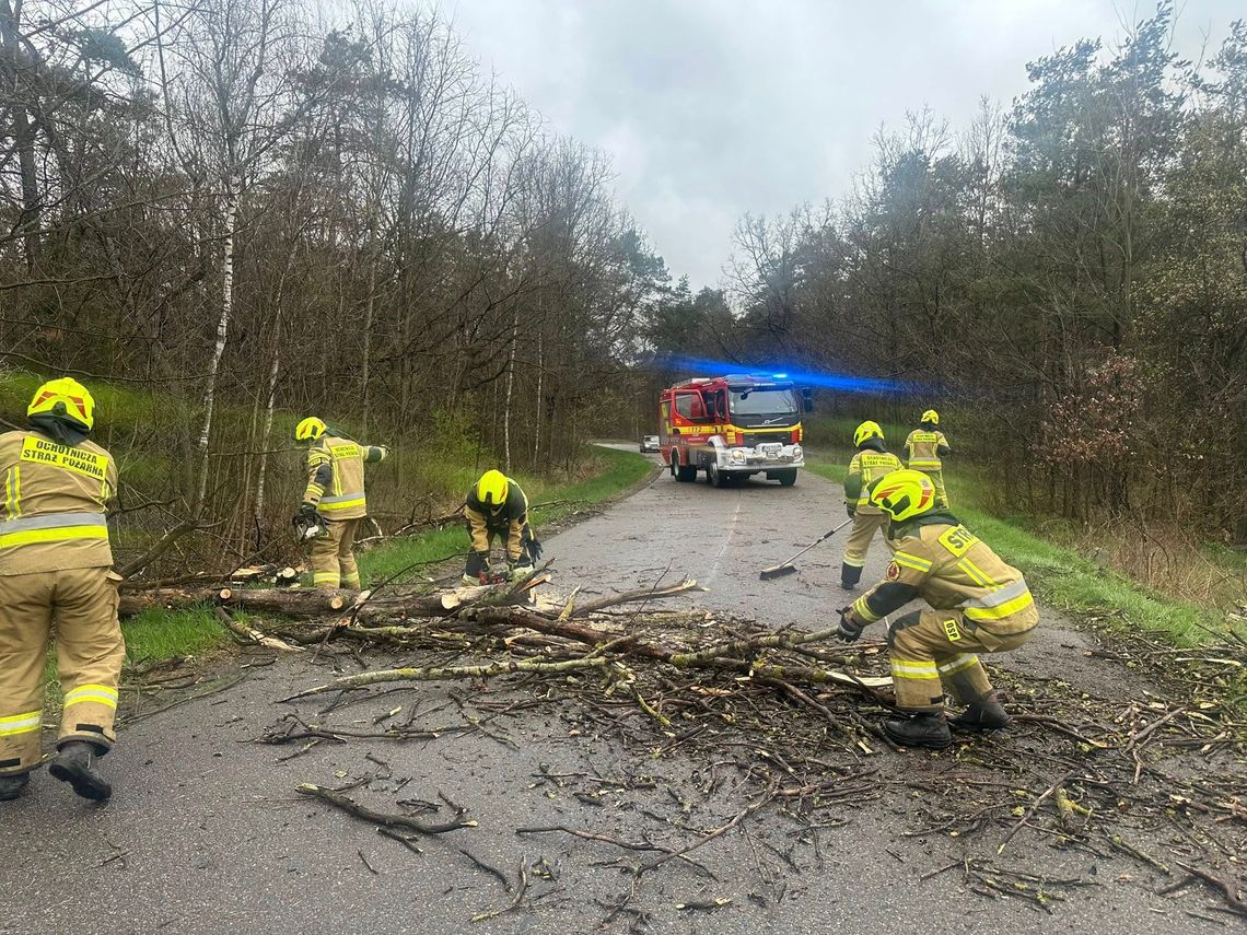 Zerwane dachy, połamane drzewa i brak prądu. Wichura zebrała swoje żniwo