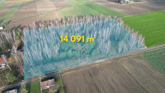 14 091 m² w Pokiniance