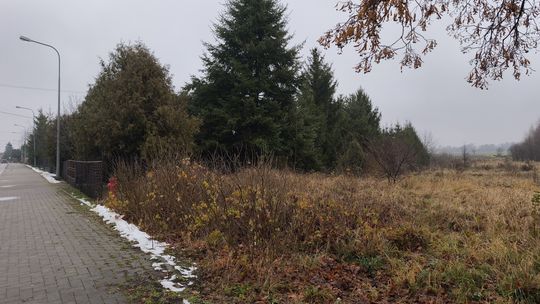 Atrakcyjne działki w centrum Kobylan Atrakcyjne działki w centrum Kobylan
