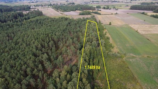Do sprzedania 1,7489 ha ziemi w Curynie Do sprzedania 1,7489 ha ziemi w Curynie