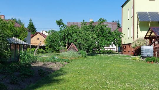 Duża działka z domem w centrum Janowa Podlaskiego