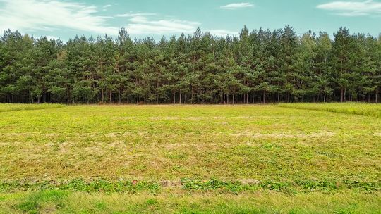 Działka budowlana w otoczeniu lasu