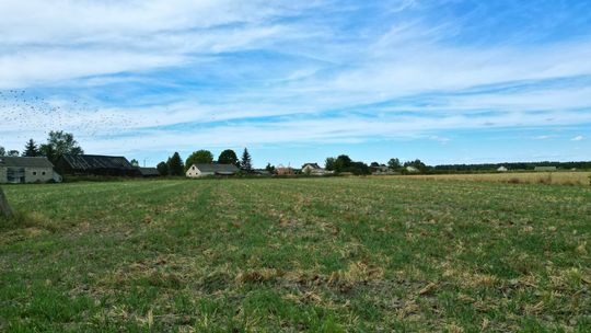 Działka gotowa pod zabudowę Turów k. Kąkolewnicy Działka gotowa pod zabudowę Turów k. Kąkolewnicy