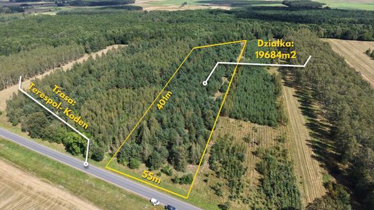 Działka leśna w Dobratyczach gmina Kodeń Działka leśna w Dobratyczach gmina Kodeń