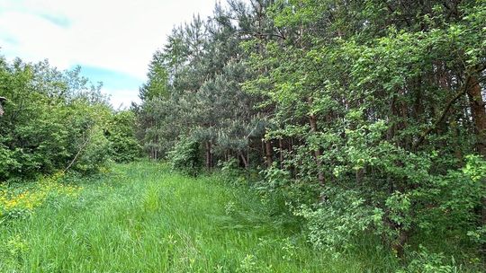 Działka Siedliskowa w Ruskowie 2791m2 Działka Siedliskowa w Ruskowie 2791m2