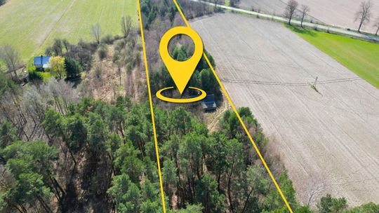 Działka z możliwościa zabudowy w Tucznej + las