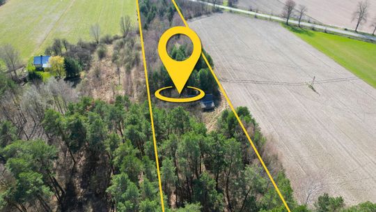 Działka z możliwościa zabudowy w Tucznej + las