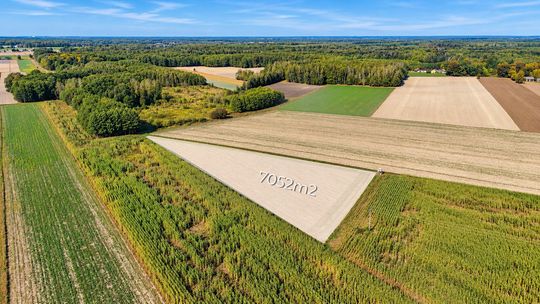 Działka z warunkami zabudowy - Kościeniewicze, pow. 7052 m²