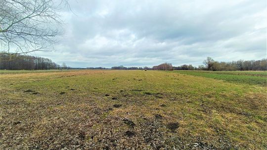 Działki rolne w Gminie Terespol