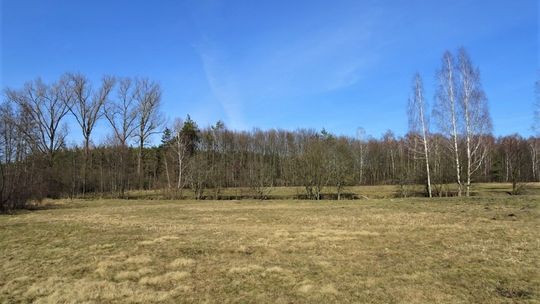 Łąka i las w Cieleśnicy Łąka i las w Cieleśnicy