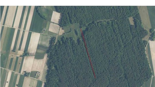 Las mieszany 4200m2 w Mysłowie! Las mieszany 4200m2 w Mysłowie!