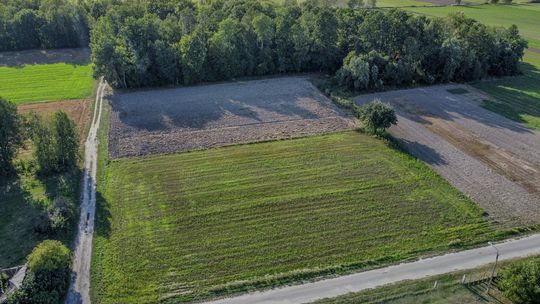 Piękna działka budowlana w Anielkach (Wygnanka)