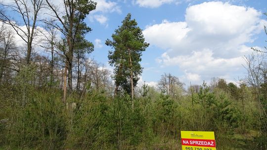 Piękna działka we wsi Bubel - Łukowiska nad Bugiem