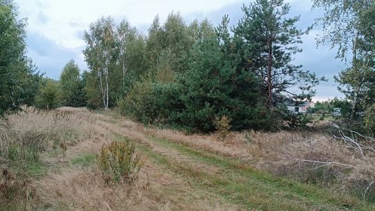 Uzbrojona działka budowlana Czosnówka