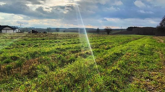 Wyjątkowe działki nad zalewem w Janowie Podlaskim
