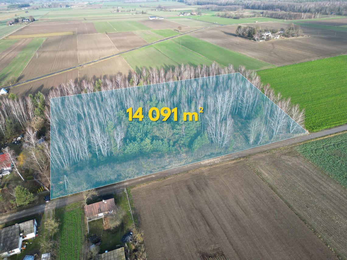 14 091 m² w Pokiniance