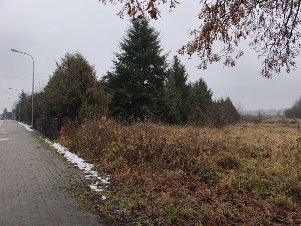 Atrakcyjne działki w centrum Kobylan Atrakcyjne działki w centrum Kobylan