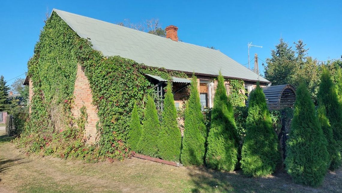 Dom z dużą działką ok. 4000 m2 w Czeputce Dom z dużą działką ok. 4000 m2 w Czeputce