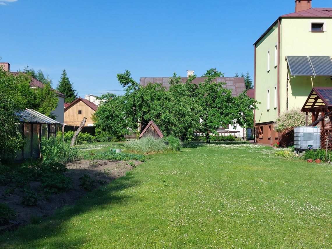 Duża działka z domem w centrum Janowa Podlaskiego