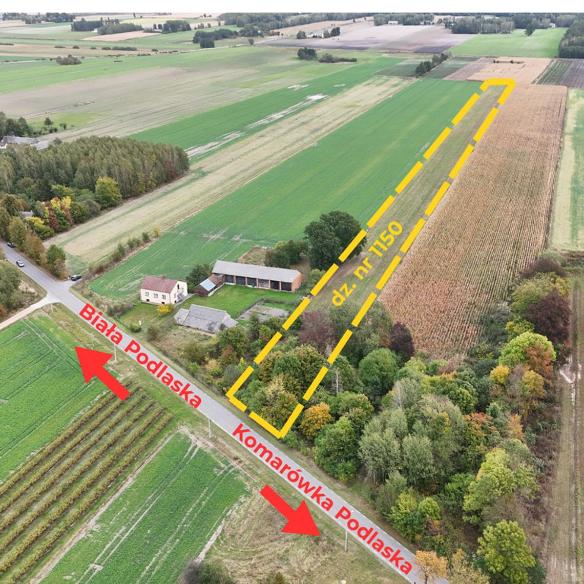 Działka 1,45ha z możliwością zabudowy - Kolembrody