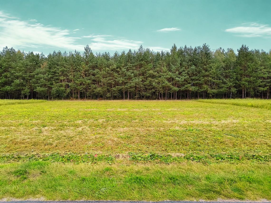 Działka budowlana w otoczeniu lasu Działka budowlana w otoczeniu lasu