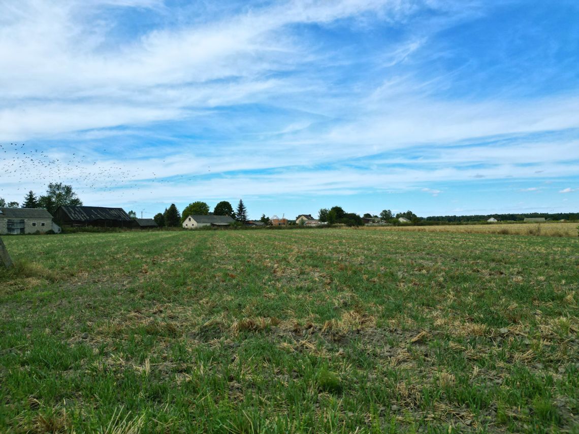 Działka gotowa pod zabudowę Turów k. Kąkolewnicy Działka gotowa pod zabudowę Turów k. Kąkolewnicy