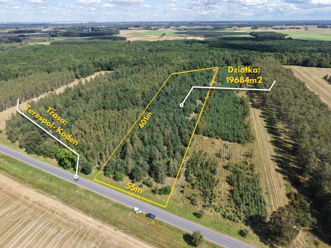 Działka leśna w Dobratyczach gmina Kodeń Działka leśna w Dobratyczach gmina Kodeń